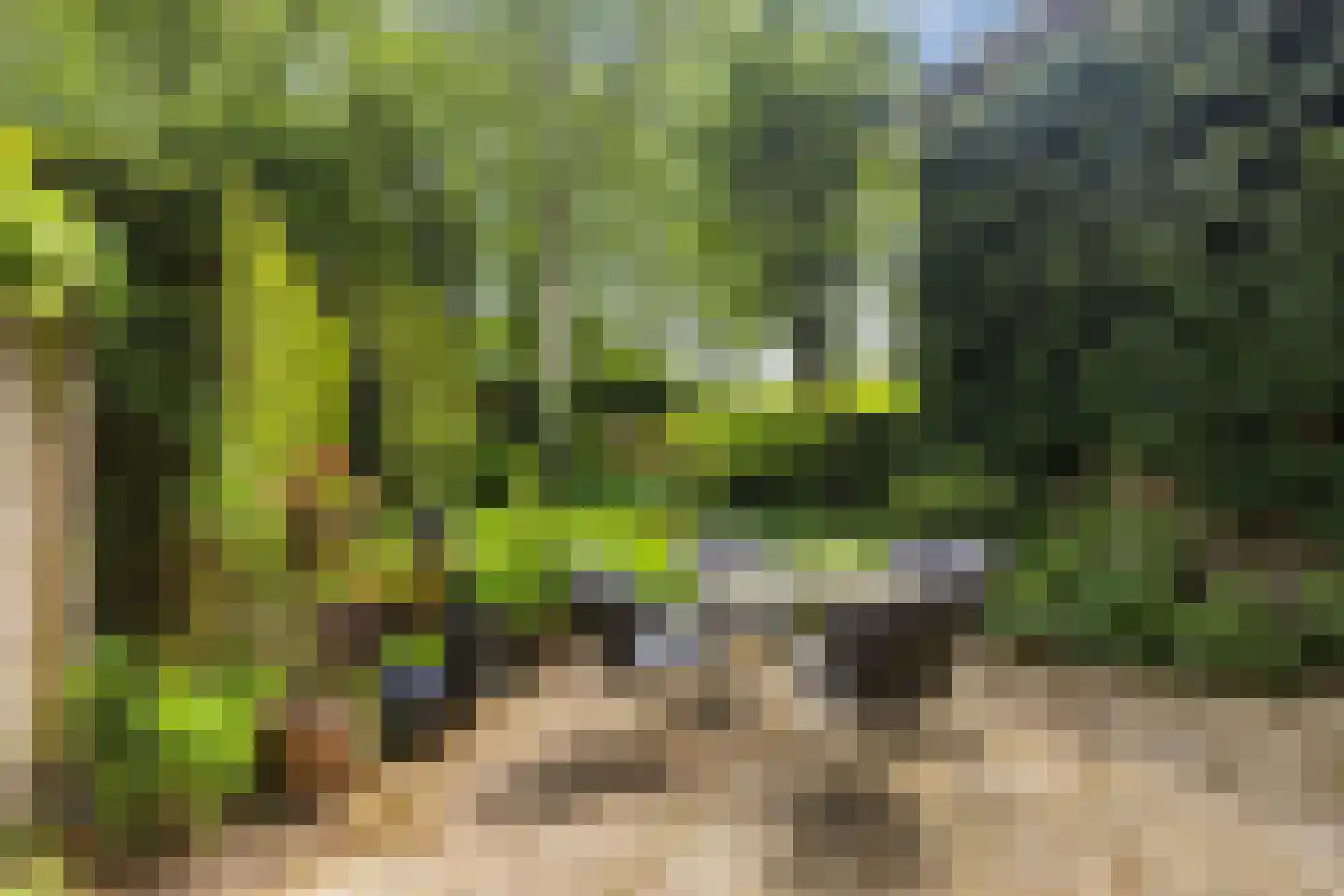 Haverakker 3 Doorn thumbnail 15