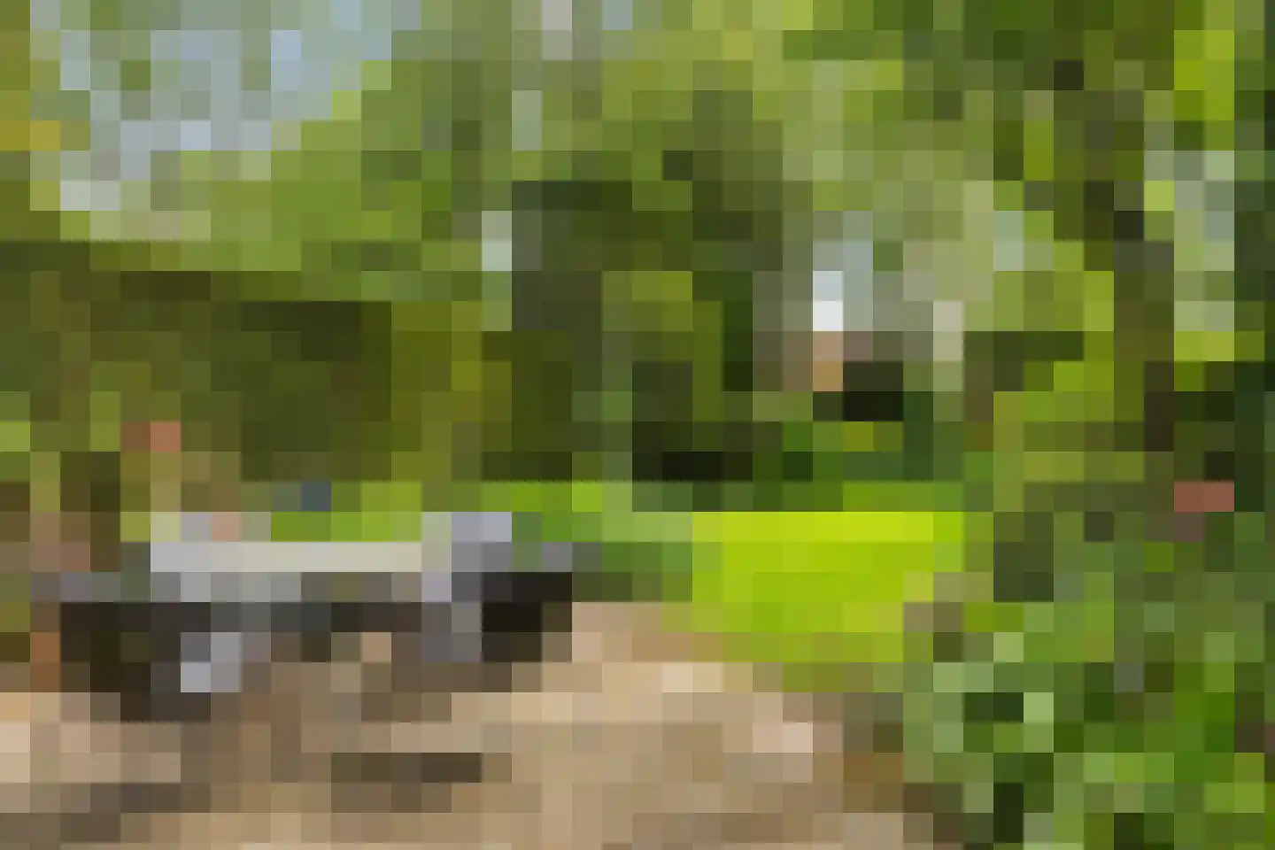 Haverakker 3 Doorn thumbnail 16