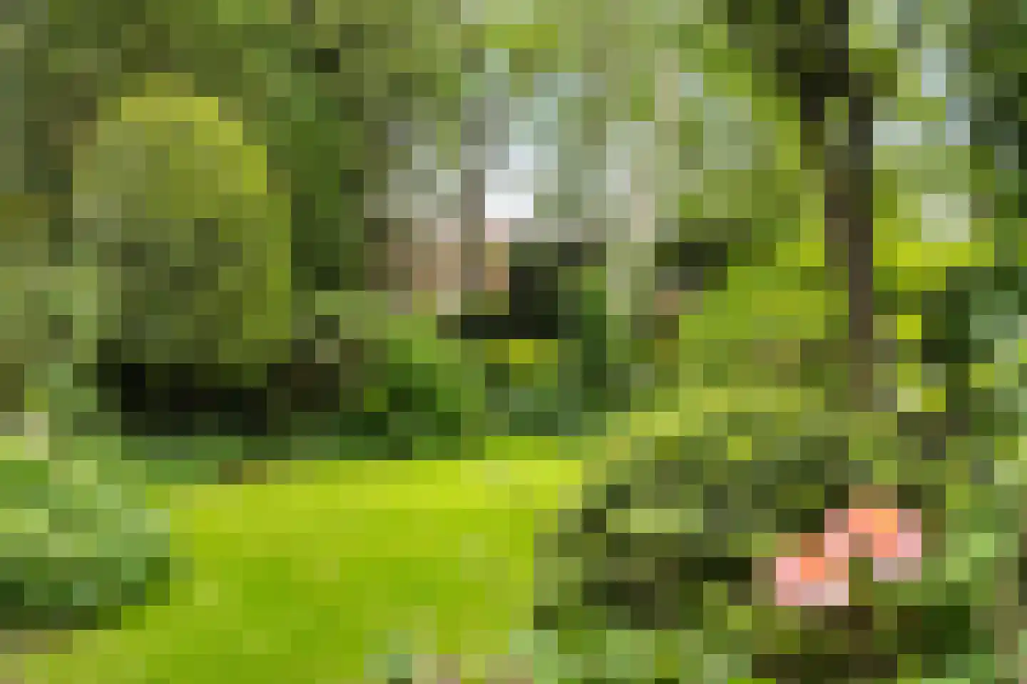 Haverakker 3 Doorn thumbnail 17