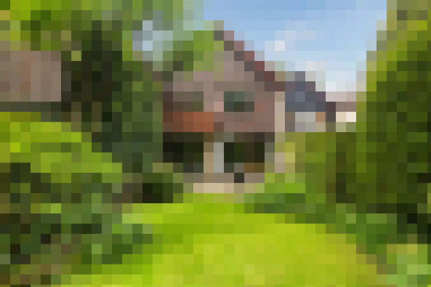 Haverakker 3 Doorn thumbnail 18