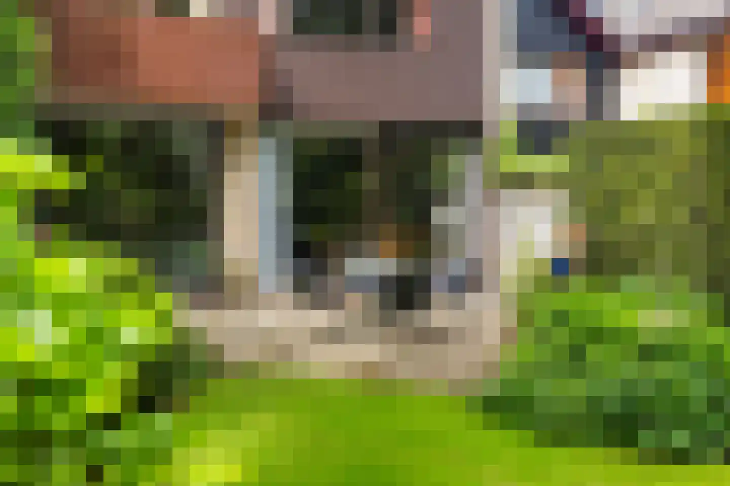 Haverakker 3 Doorn thumbnail 19