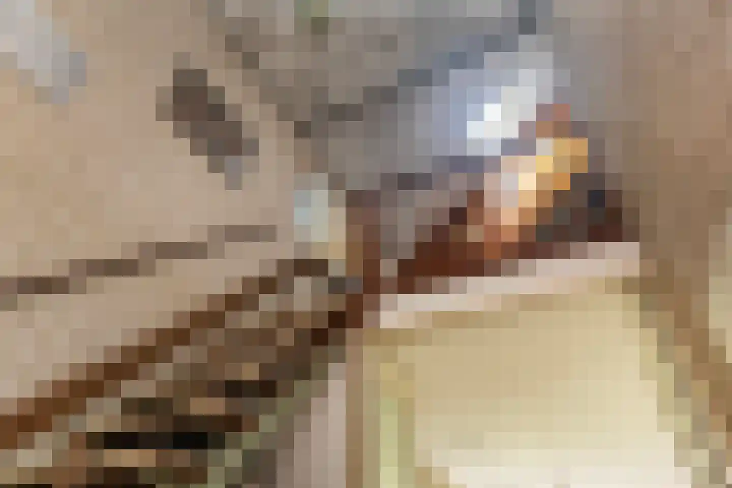 Haverakker 3 Doorn thumbnail 20