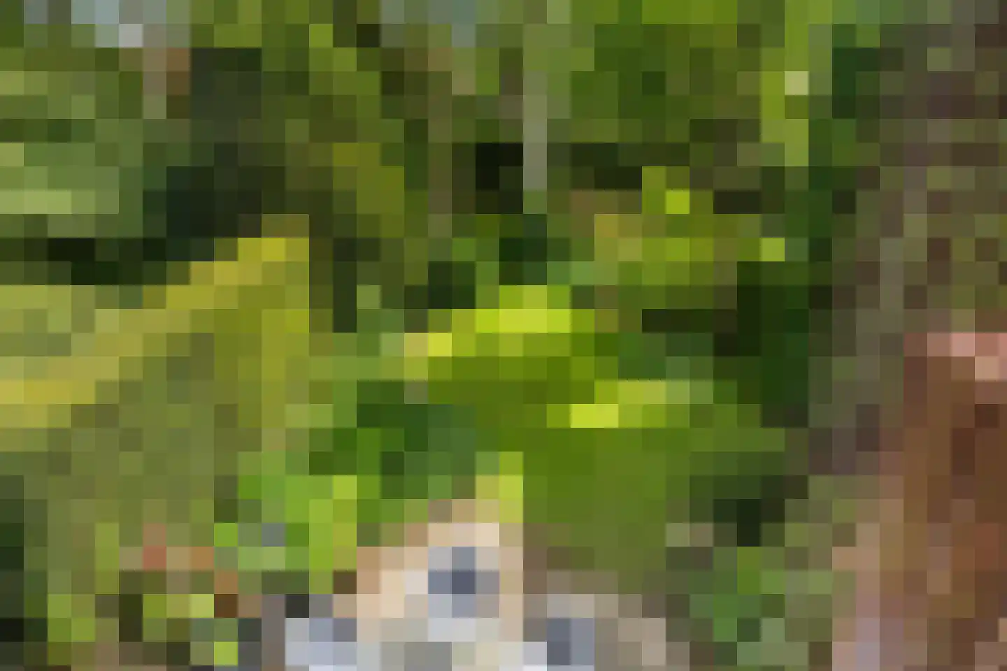 Haverakker 3 Doorn thumbnail 27