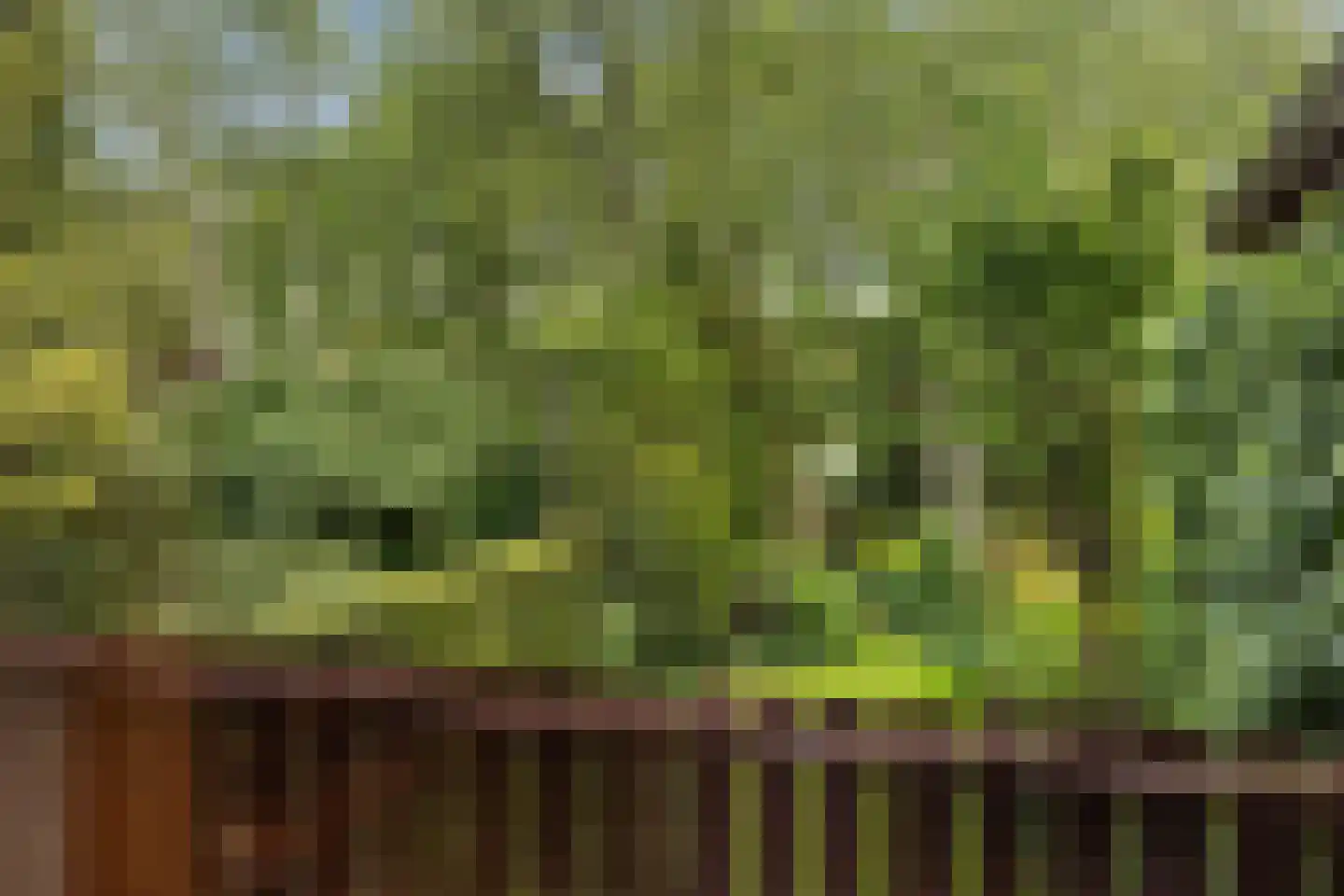 Haverakker 3 Doorn thumbnail 29