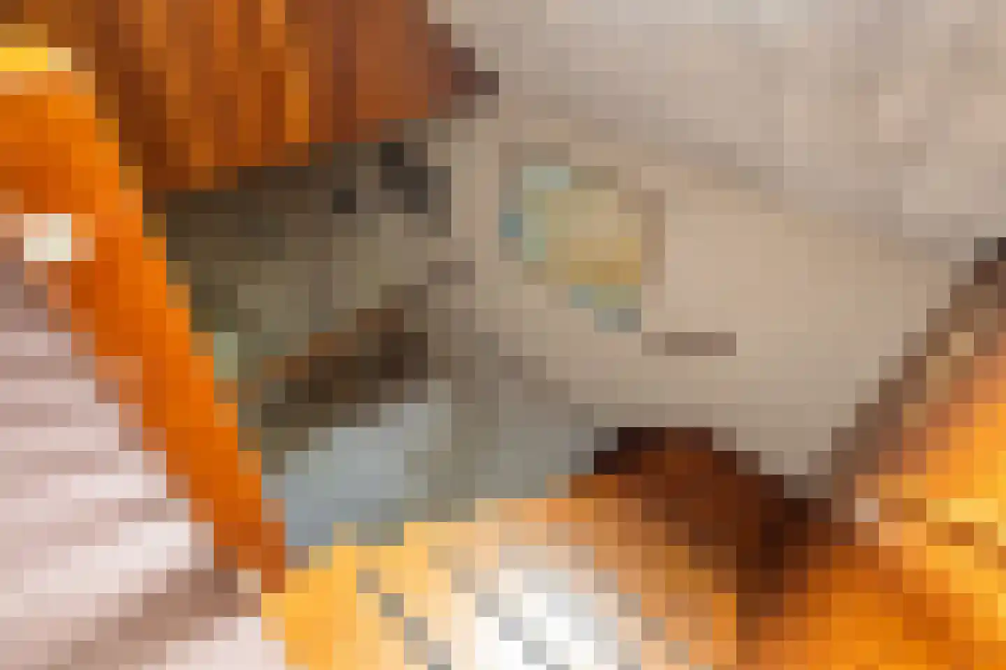 Haverakker 3 Doorn thumbnail 30