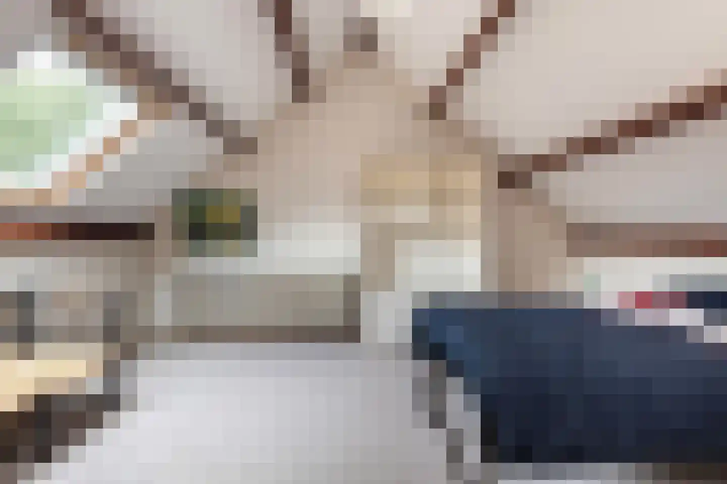 Haverakker 3 Doorn thumbnail 31