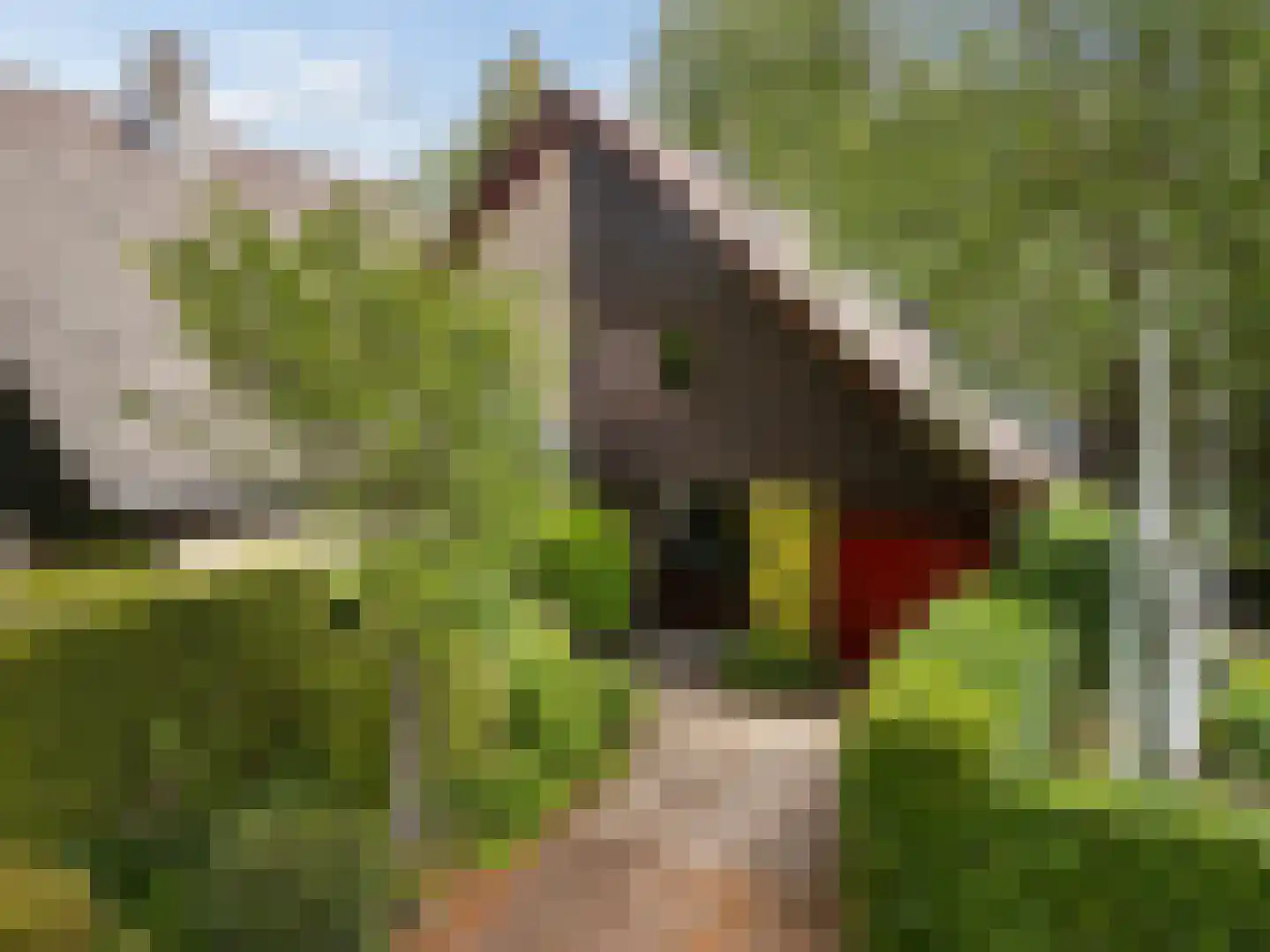 Haverakker 3 Doorn thumbnail 34
