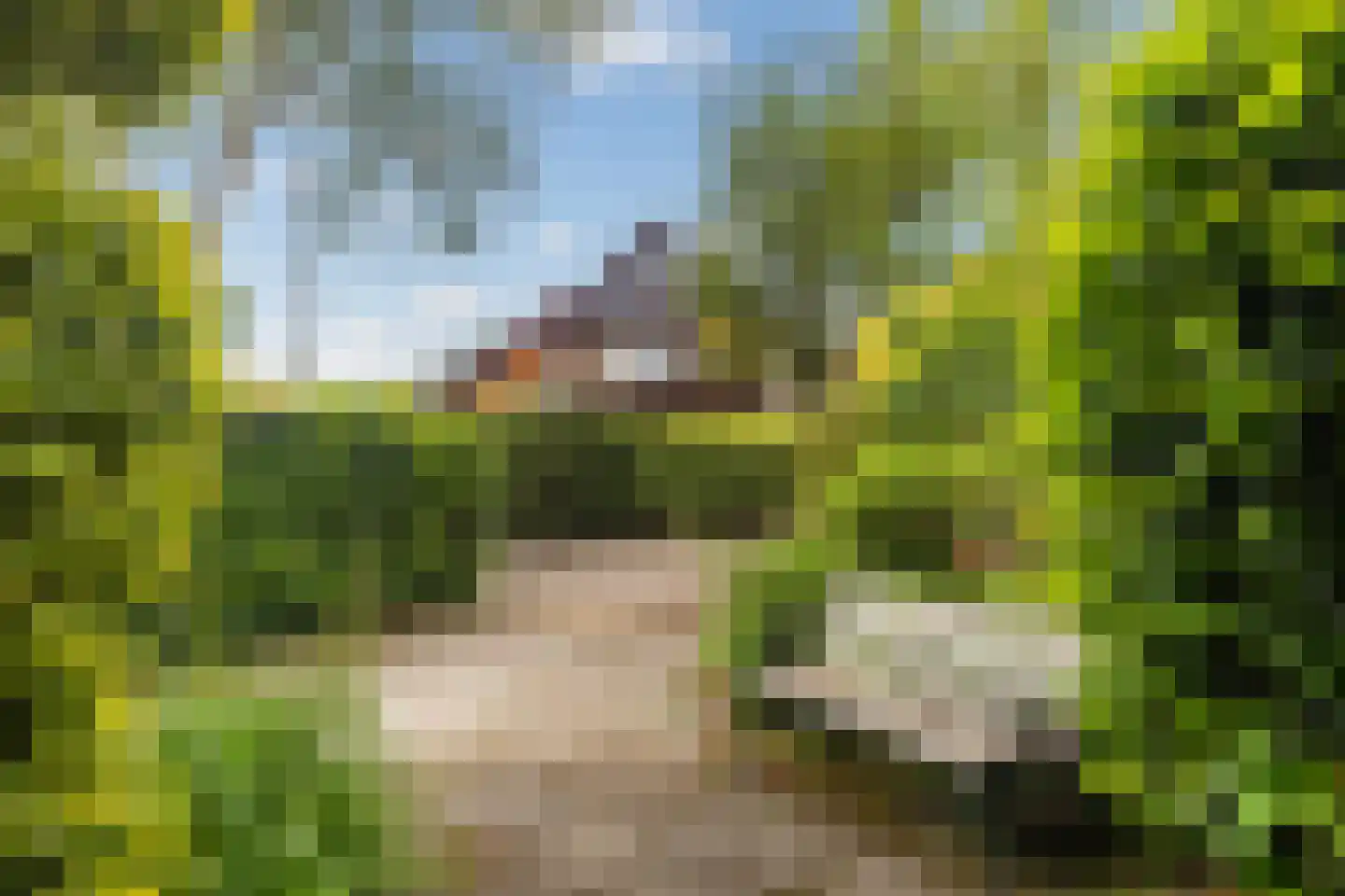 Haverakker 3 Doorn thumbnail 35