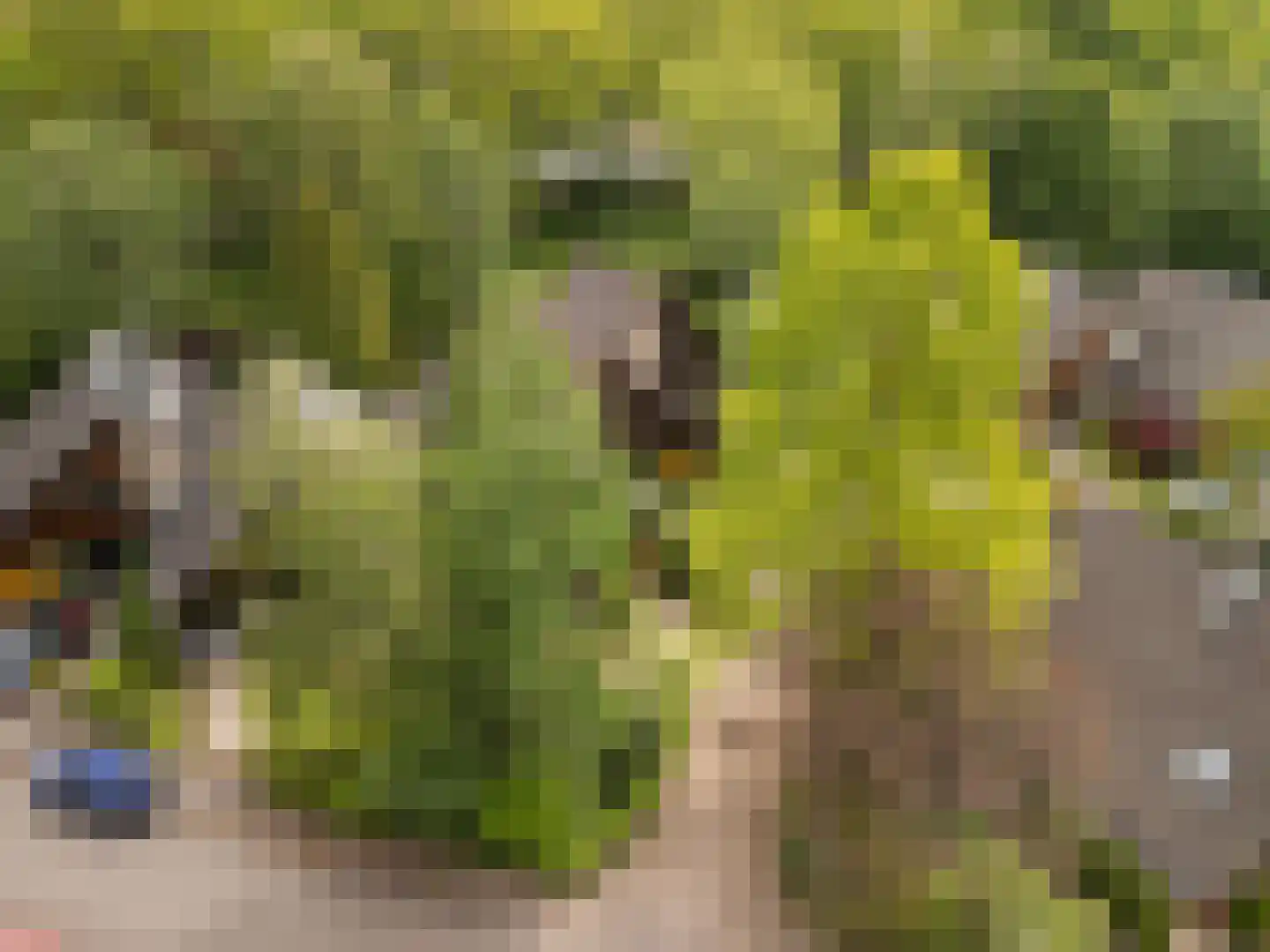 Haverakker 3 Doorn thumbnail 36