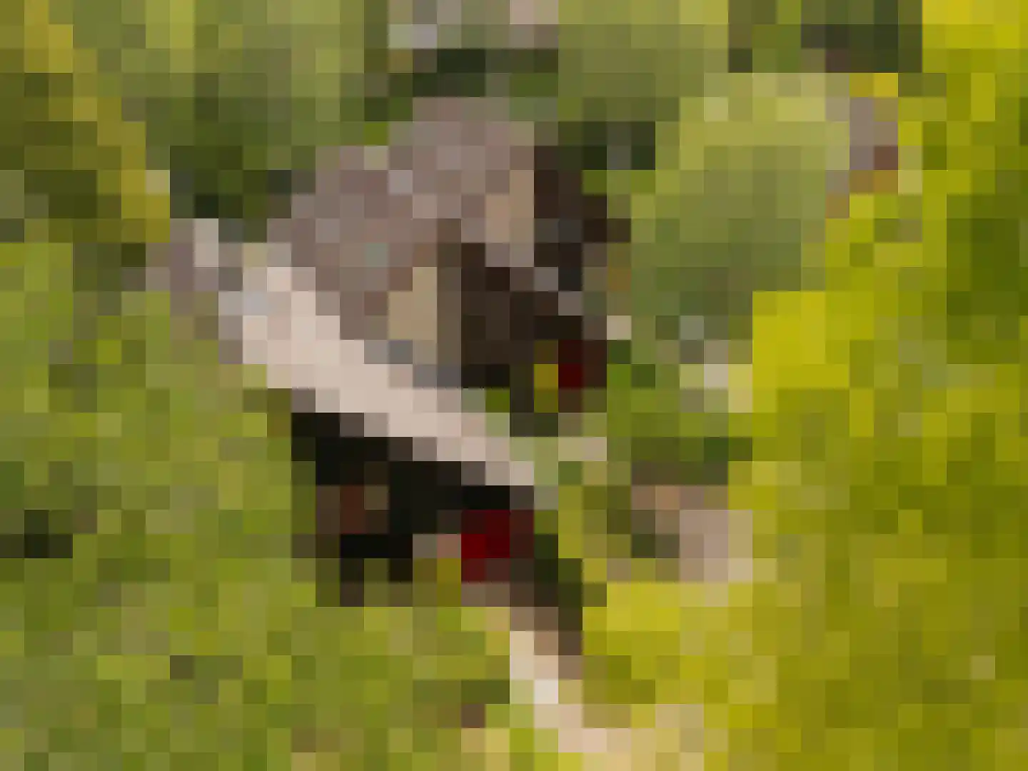 Haverakker 3 Doorn thumbnail 37