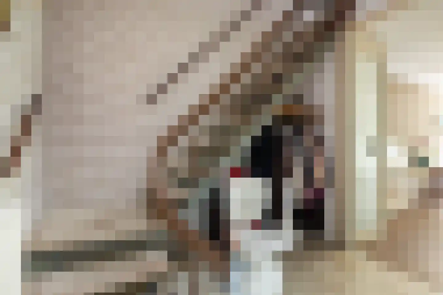Haverakker 3 Doorn thumbnail 4