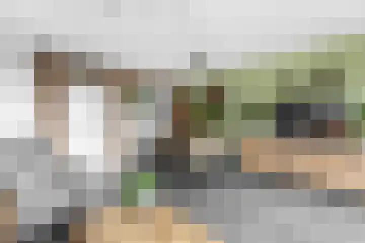 Haverakker 4 Waddinxveen thumbnail 12