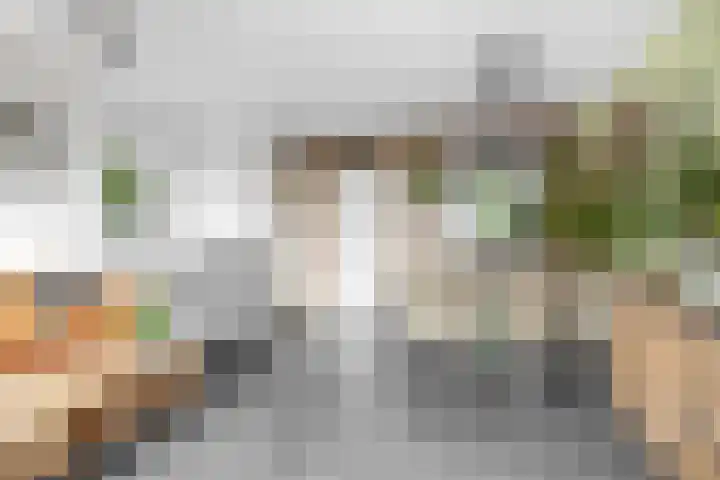 Haverakker 4 Waddinxveen thumbnail 13