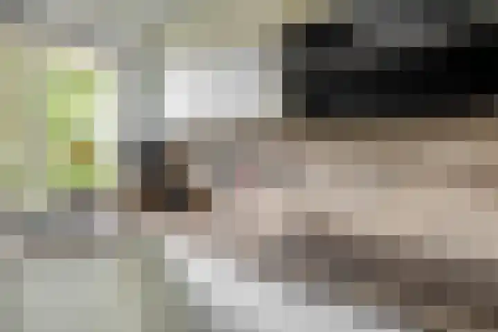 Haverakker 4 Waddinxveen thumbnail 15