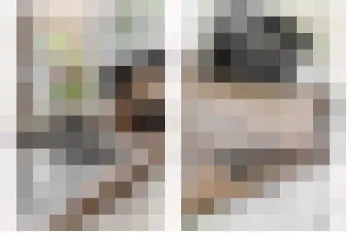 Haverakker 4 Waddinxveen thumbnail 17