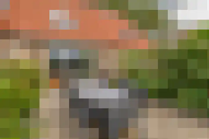 Haverakker 4 Waddinxveen thumbnail 19