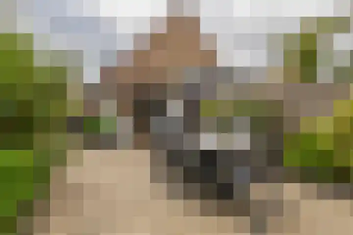 Haverakker 4 Waddinxveen thumbnail 20