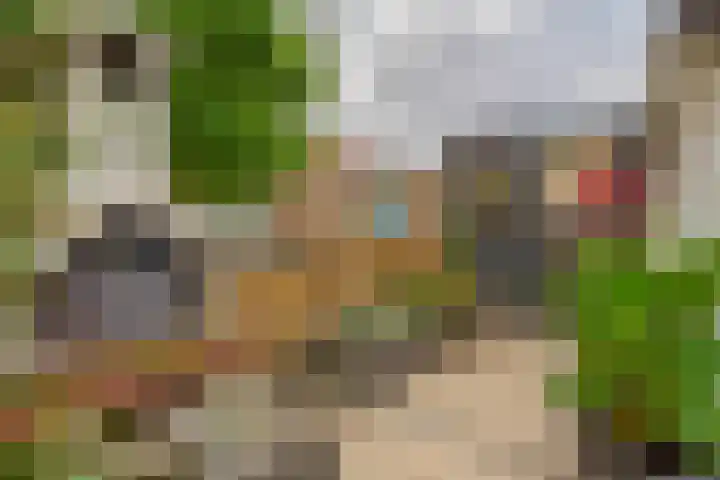 Haverakker 4 Waddinxveen thumbnail 21