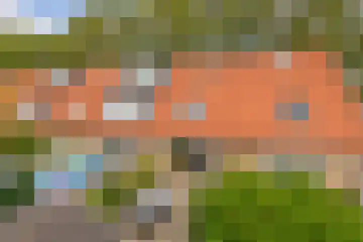 Haverakker 4 Waddinxveen thumbnail 22