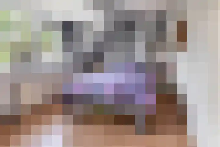 Haverakker 4 Waddinxveen thumbnail 24
