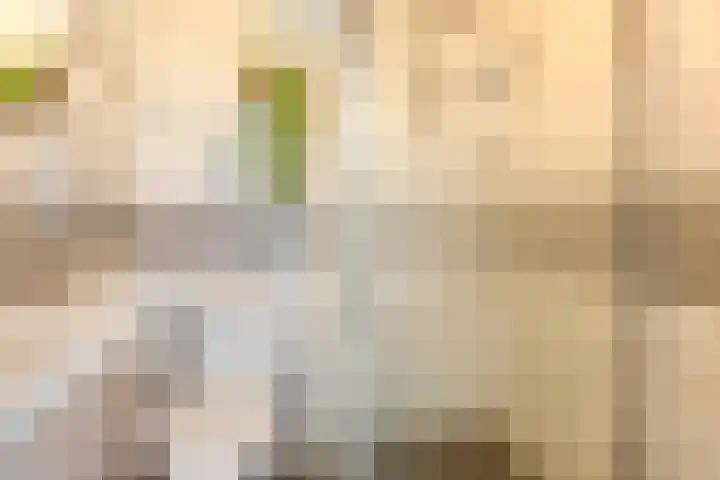 Haverakker 4 Waddinxveen thumbnail 25