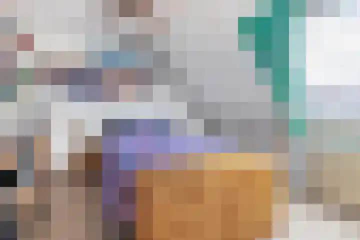 Haverakker 4 Waddinxveen thumbnail 28