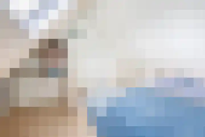 Haverakker 4 Waddinxveen thumbnail 30