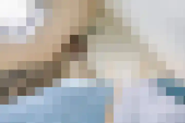 Haverakker 4 Waddinxveen thumbnail 32