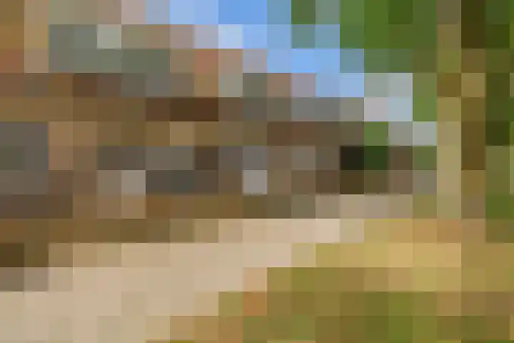 Haverakker 4 Waddinxveen thumbnail 33