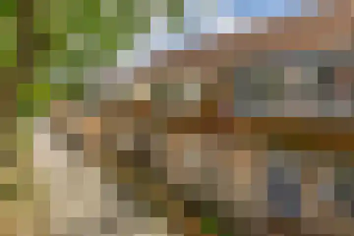 Haverakker 4 Waddinxveen thumbnail 34