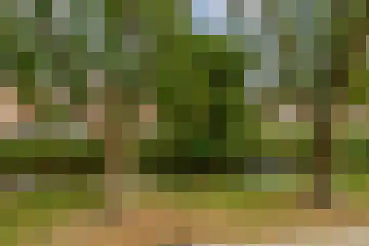 Haverakker 4 Waddinxveen thumbnail 35