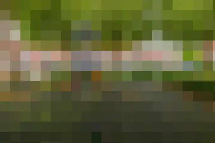 Haverakker 4 Waddinxveen thumbnail 36