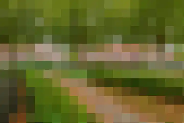 Haverakker 4 Waddinxveen thumbnail 37