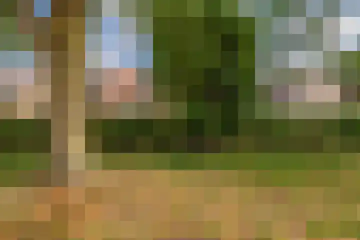 Haverakker 4 Waddinxveen thumbnail 38