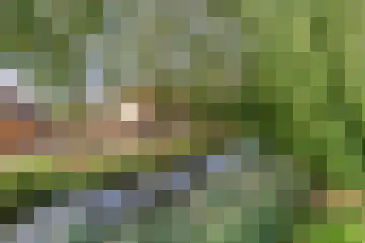 Haverakker 4 Waddinxveen thumbnail 39