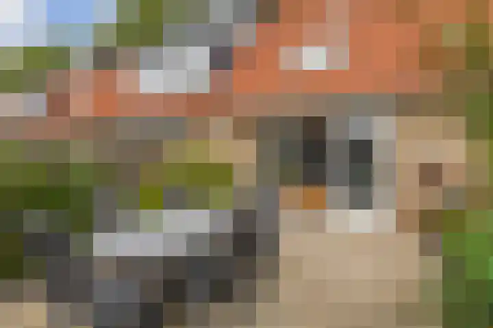 Haverakker 4 Waddinxveen thumbnail 4