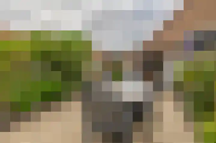 Haverakker 4 Waddinxveen thumbnail 5