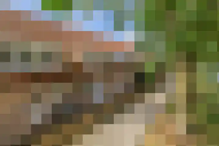 Haverakker 4 Waddinxveen thumbnail 6