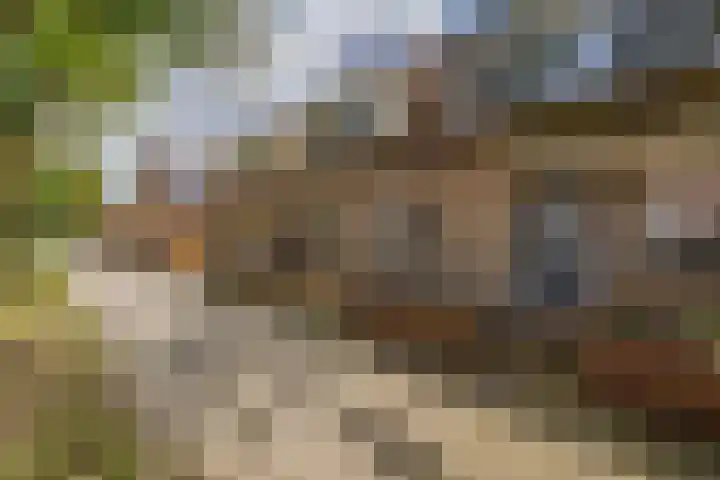 Haverakker 4 Waddinxveen thumbnail 7