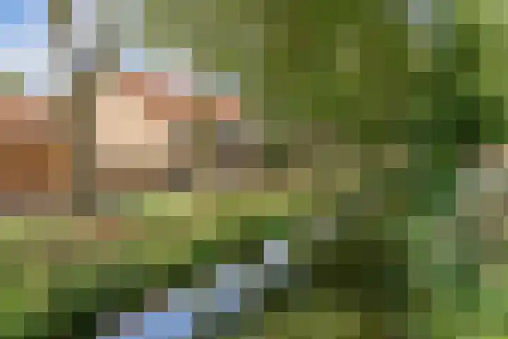 Haverakker 4 Waddinxveen thumbnail 8