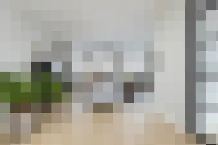 Haverakker 4 Wezep thumbnail 11