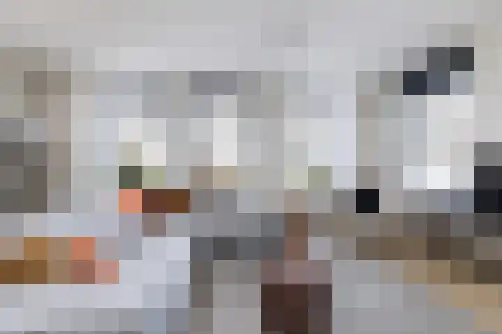 Haverakker 4 Wezep thumbnail 13