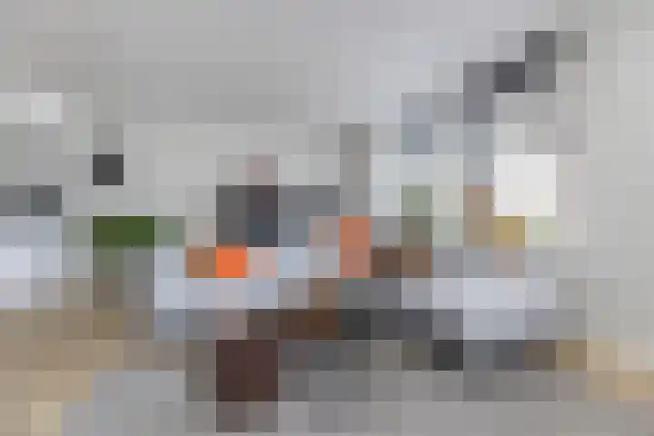 Haverakker 4 Wezep thumbnail 14
