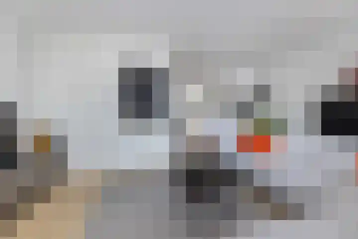 Haverakker 4 Wezep thumbnail 15