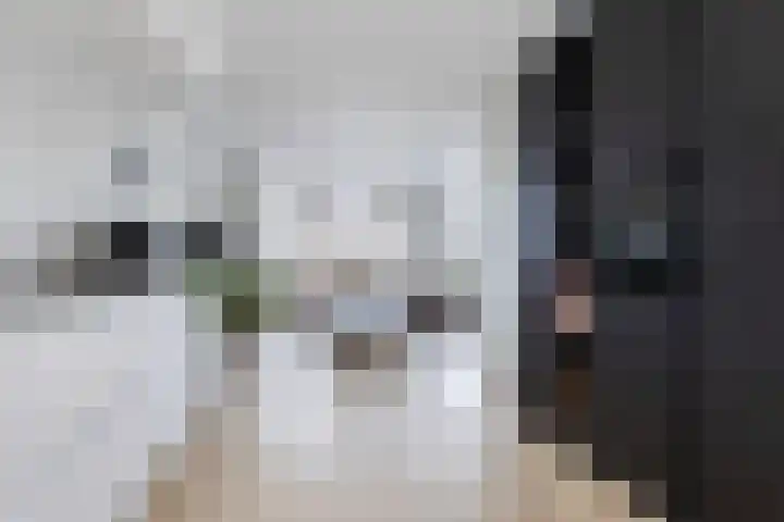 Haverakker 4 Wezep thumbnail 18