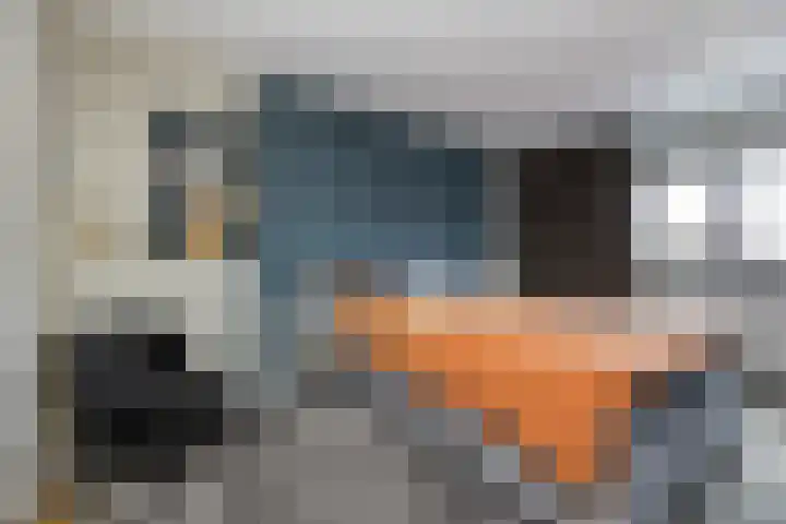 Haverakker 4 Wezep thumbnail 22