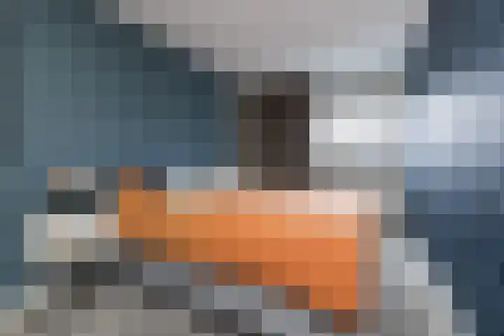 Haverakker 4 Wezep thumbnail 23
