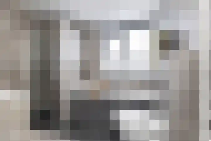 Haverakker 4 Wezep thumbnail 26