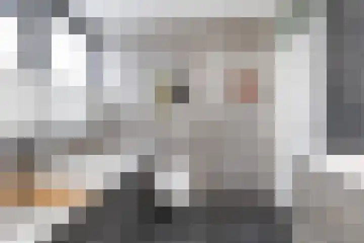 Haverakker 4 Wezep thumbnail 27