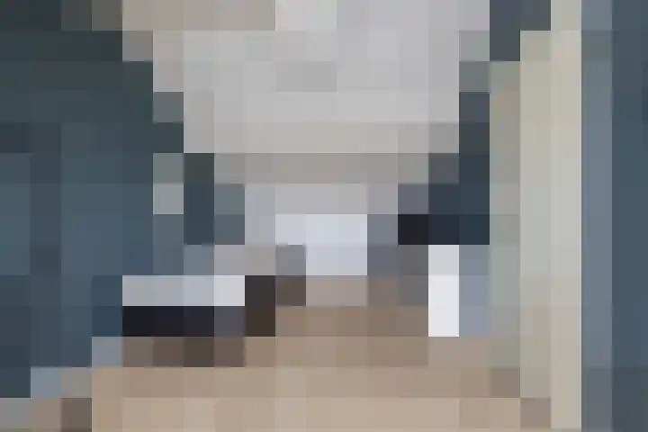 Haverakker 4 Wezep thumbnail 34